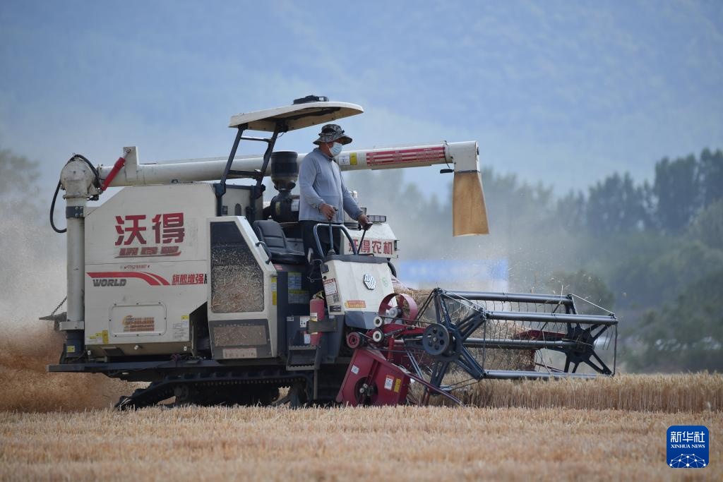 陕西夏粮机收作业陆续展开 陕西夏粮机收作业陆续展开