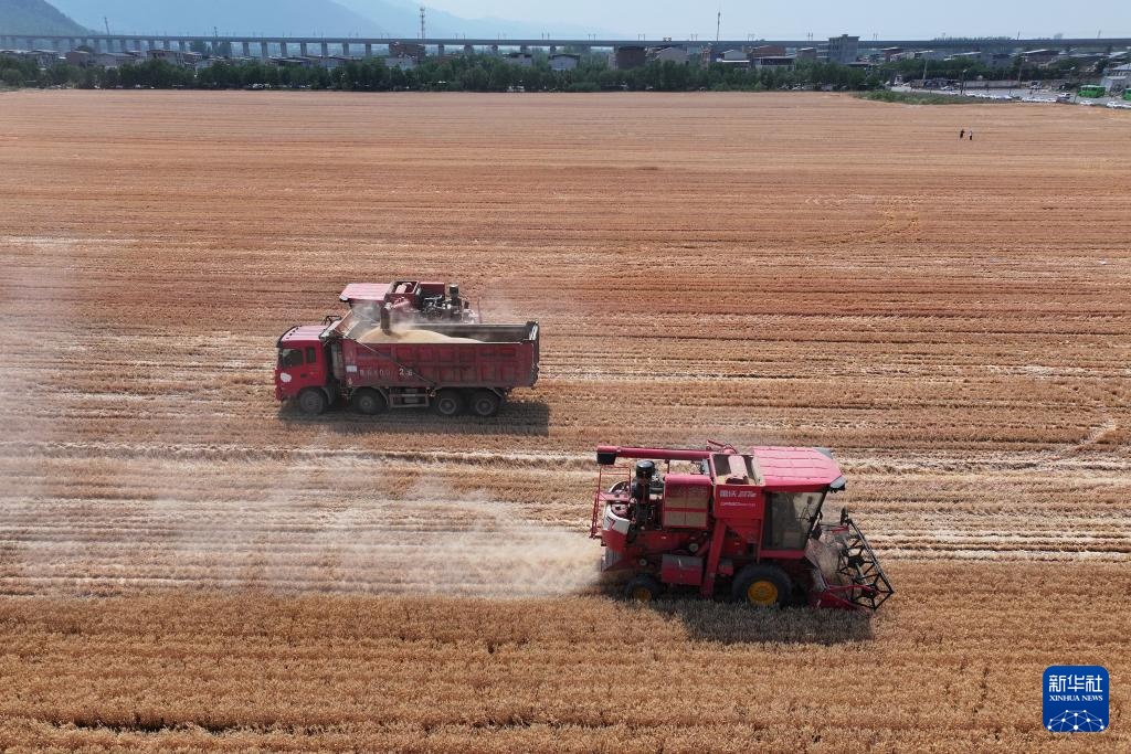 陕西夏粮机收作业陆续展开 陕西夏粮机收作业陆续展开