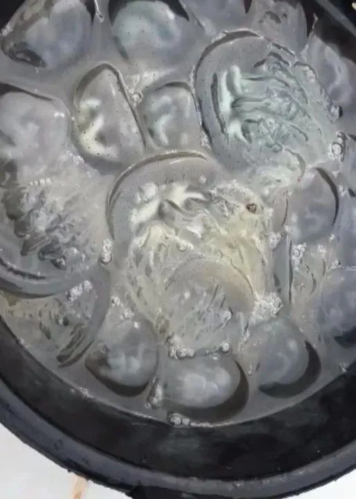 有毒性！在海边看到，立即远离、千万别碰
