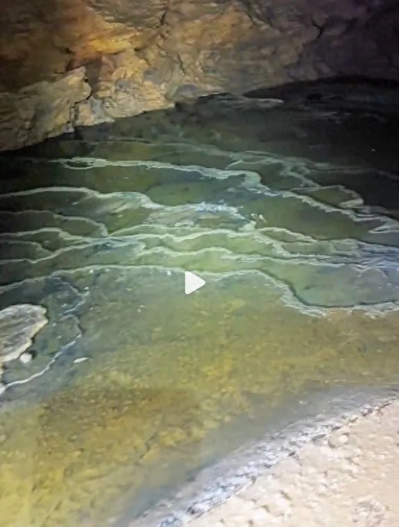 溶洞变“粪坑”！立案调查！