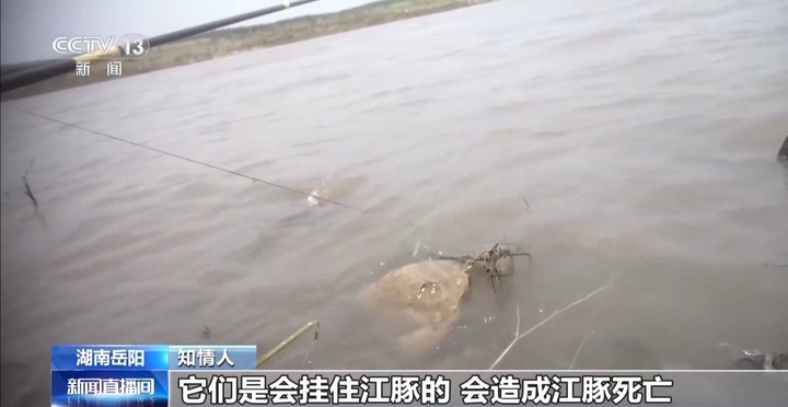 保护区里的“疯狂垂钓”屡禁不止！记者调查→