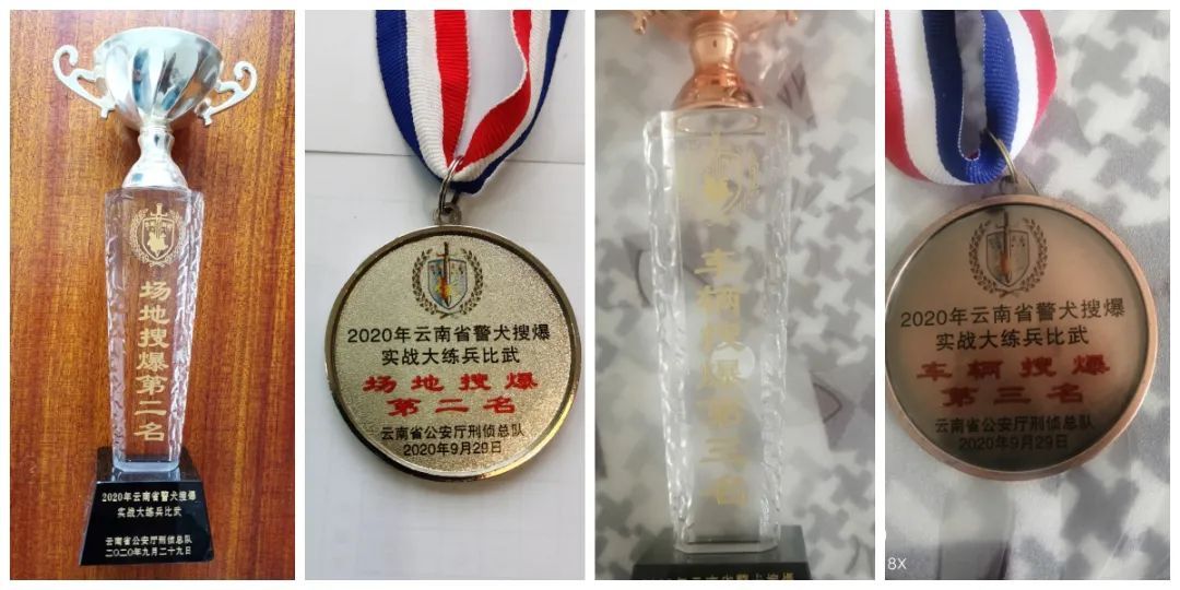 辛苦了，无言的战士！警犬退役撒娇训导员湿了眼眶