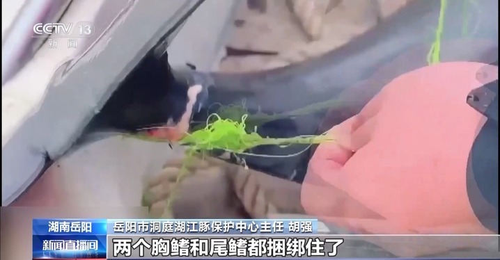 保护区里的“疯狂垂钓”屡禁不止！记者调查→