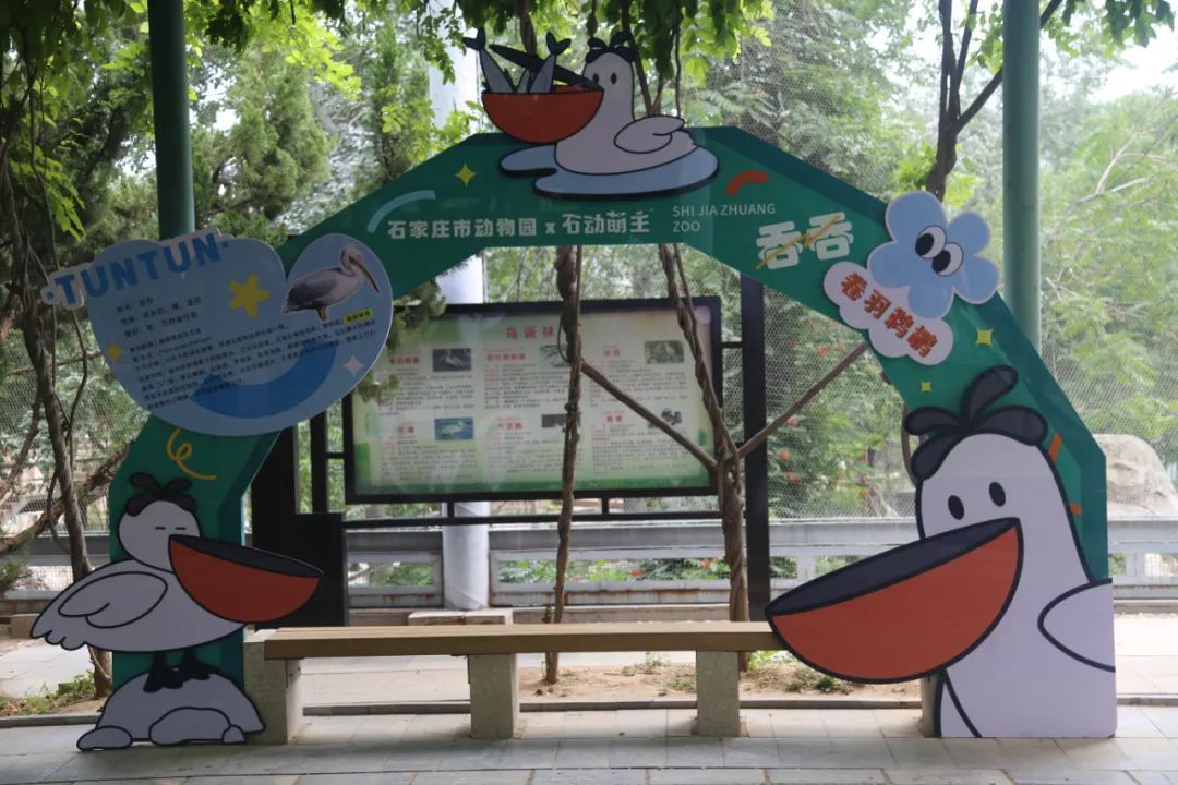 端午节假期,石家庄市动物园免票政策有变! 端午节假期,石家庄市动物园免票政策有变!