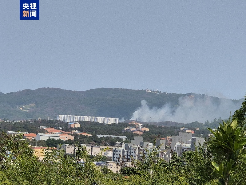 韩国坠毁飞机机上4人全部遇难 韩国坠毁飞机机上4人全部遇难