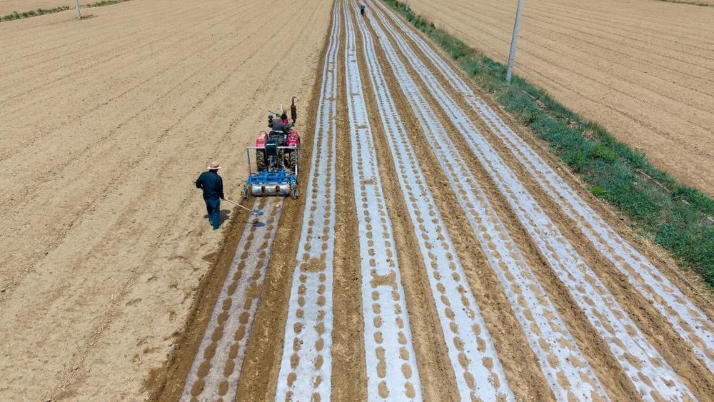 蓄足“水动力” 多地抗旱保粮一线观察 蓄足“水动力” 多地抗旱保粮一线观察