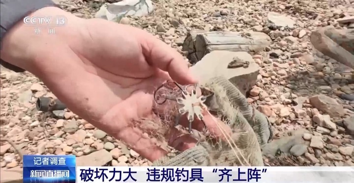 保护区里的“疯狂垂钓”屡禁不止！记者调查→