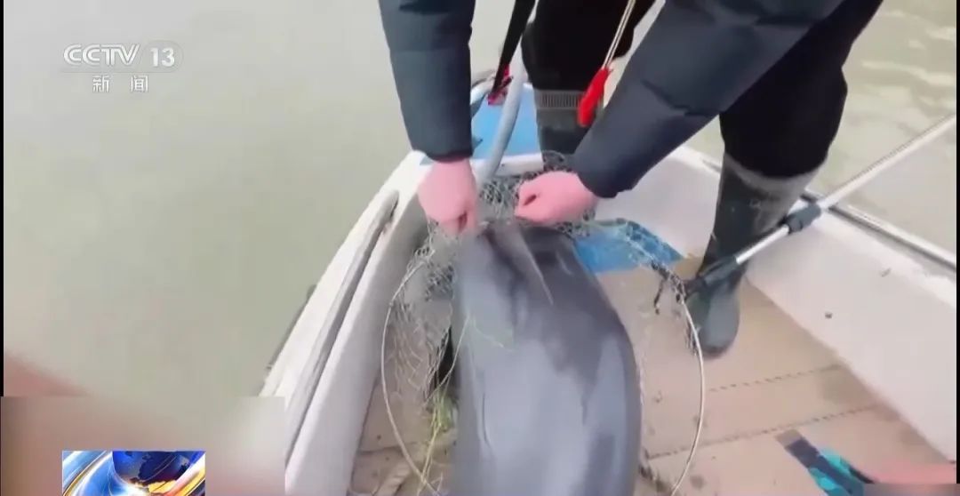 为钓大鱼操控无人艇进保护区!洞庭湖禁捕区怎么成了“垂钓场”? 为钓大鱼操控无人艇进保护区!洞庭湖禁捕区怎么成了“垂钓场”?