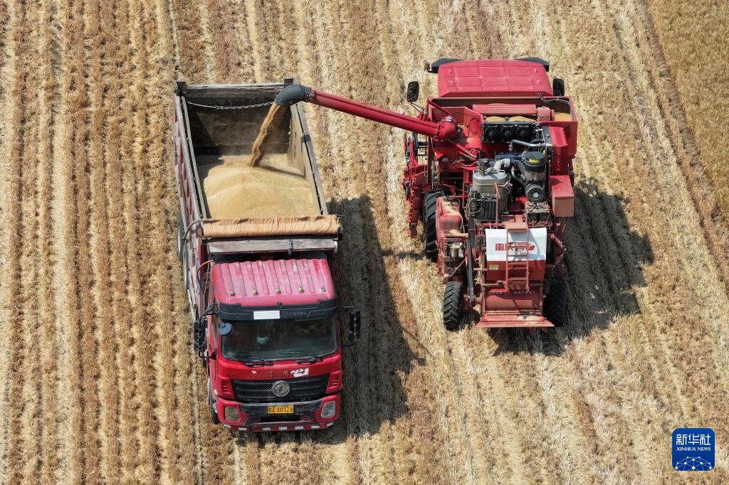 陕西夏粮机收作业陆续展开 陕西夏粮机收作业陆续展开