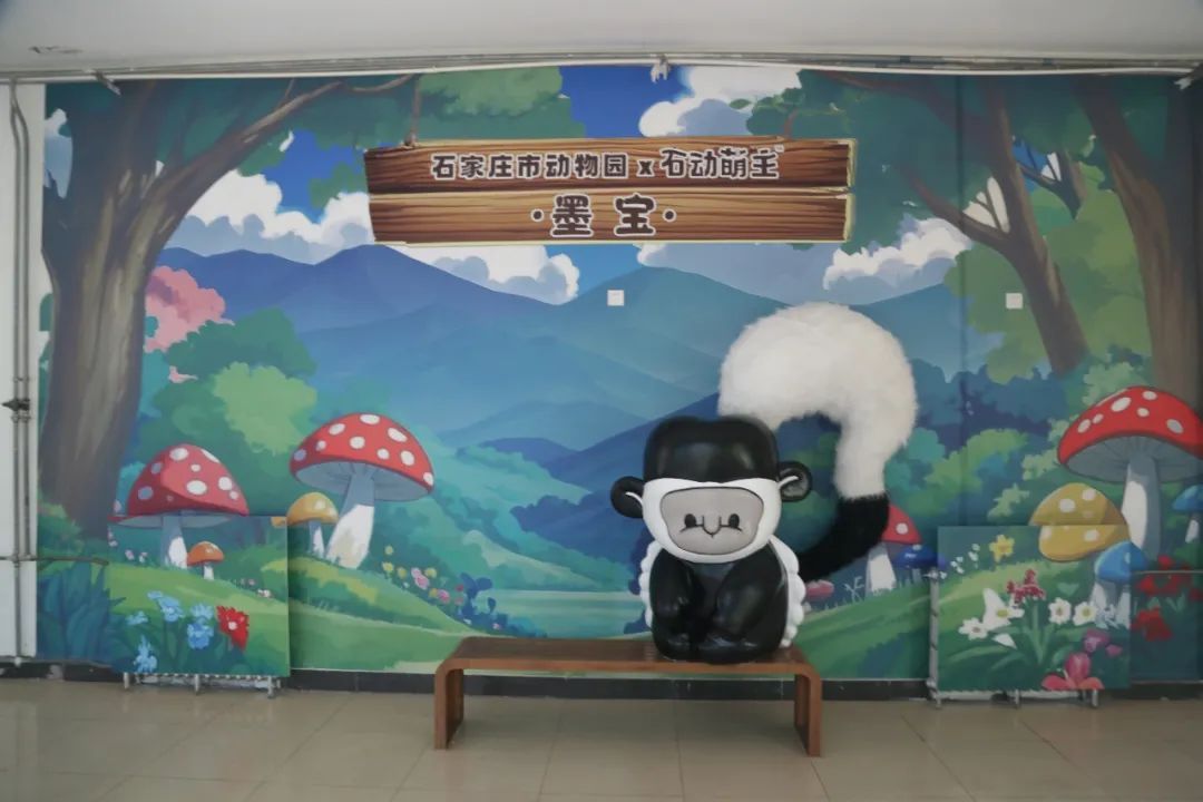 端午节假期,石家庄市动物园免票政策有变! 端午节假期,石家庄市动物园免票政策有变!