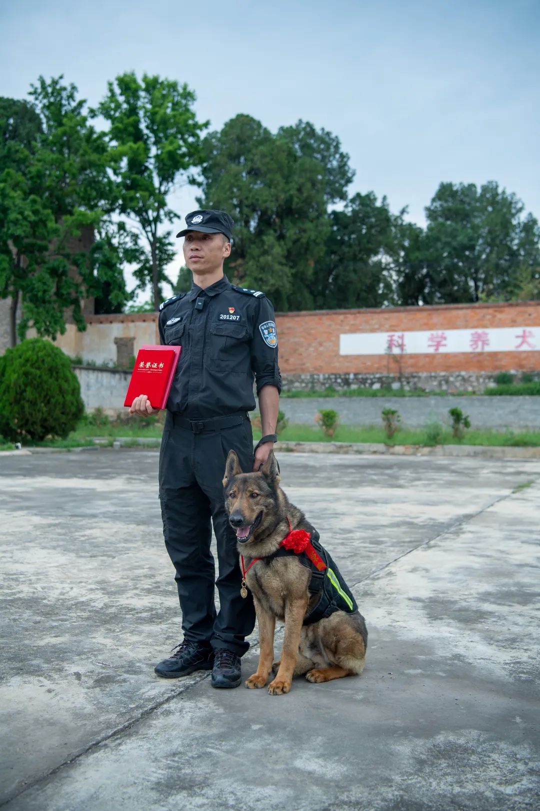 辛苦了，无言的战士！警犬退役撒娇训导员湿了眼眶