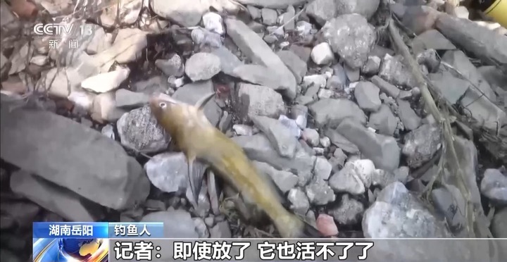 保护区里的“疯狂垂钓”屡禁不止！记者调查→