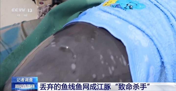 保护区里的“疯狂垂钓”屡禁不止！记者调查→