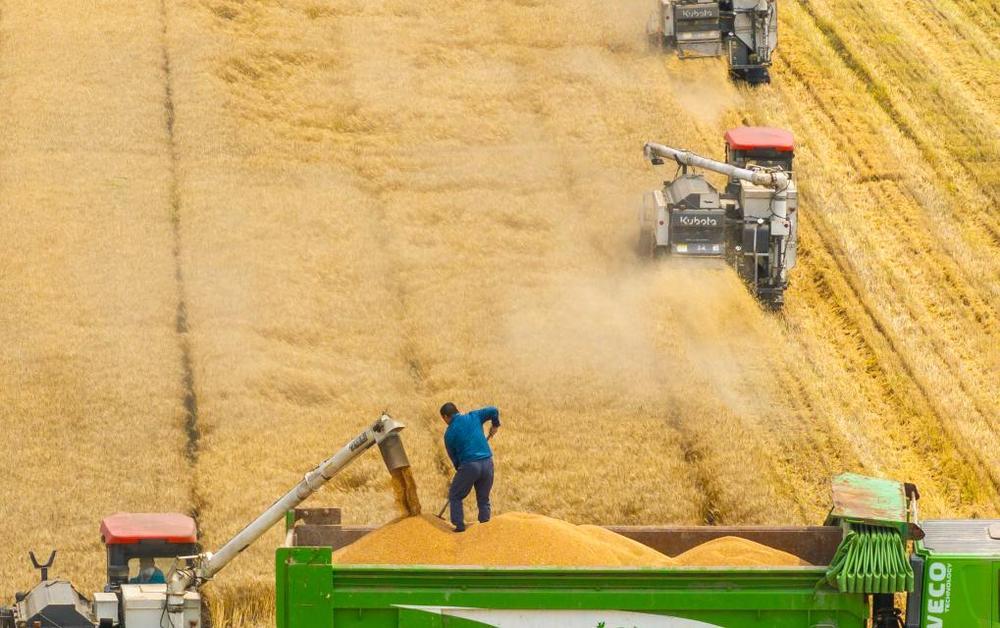 蓄足“水动力” 多地抗旱保粮一线观察 蓄足“水动力” 多地抗旱保粮一线观察