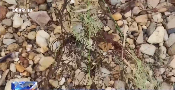 保护区里的“疯狂垂钓”屡禁不止！记者调查→