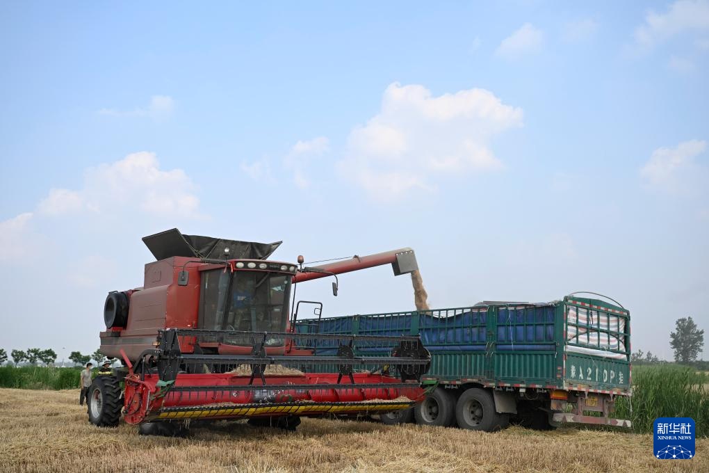 麦浪飘香收获忙 麦浪飘香收获忙
