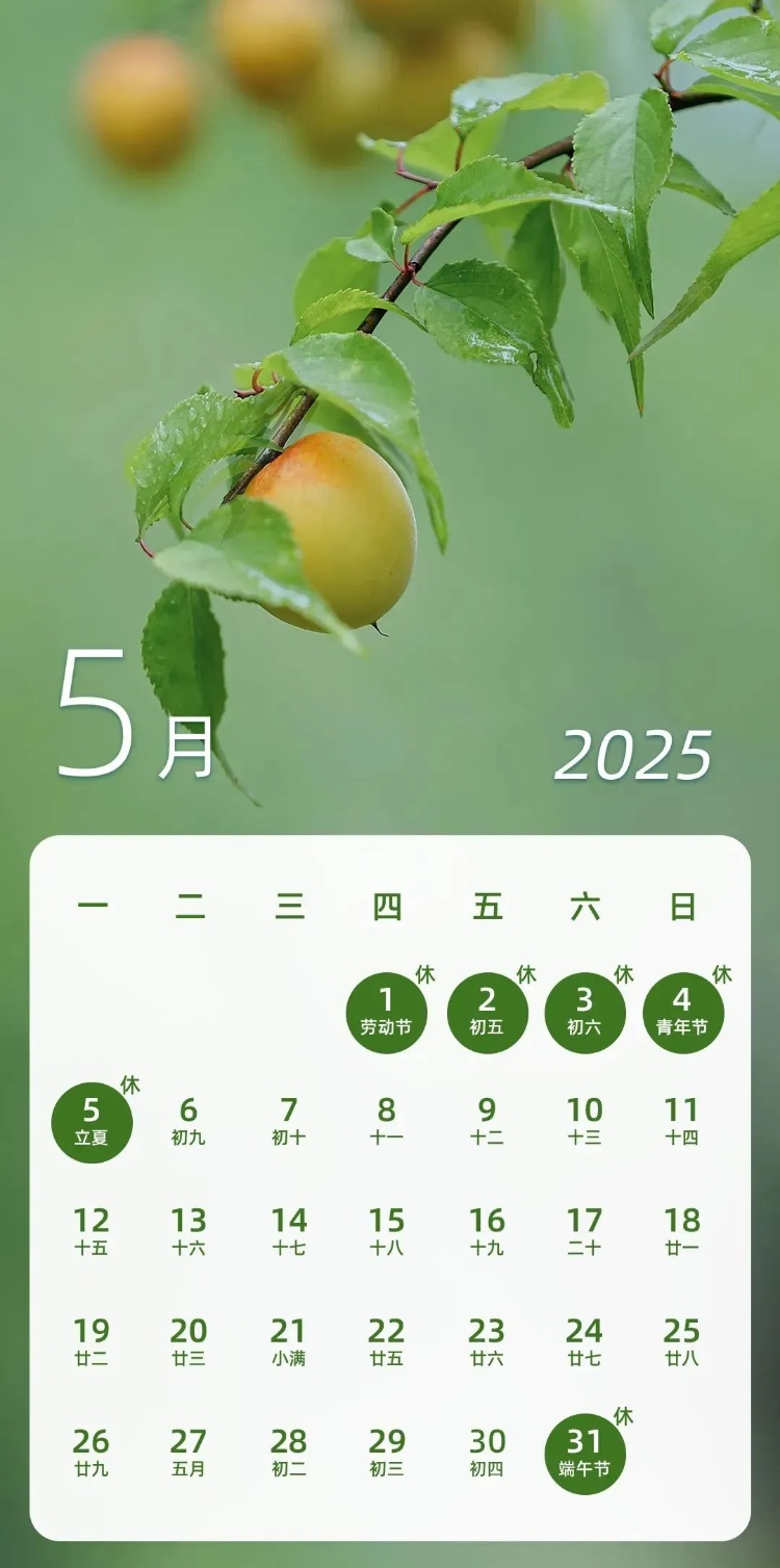 端午假期连休3天不调休 高速不免费→