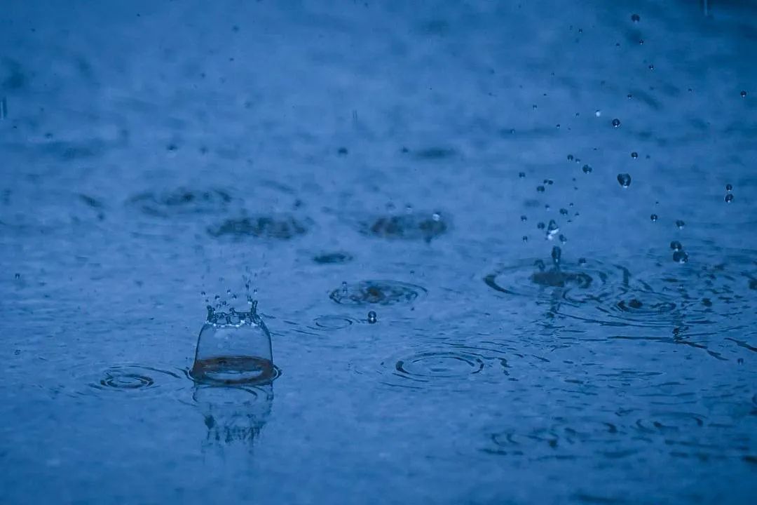 端午假期，沈阳等地局部大雨！具体时间和范围→