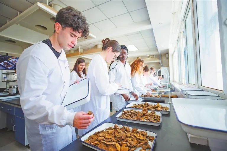 江西中医药“圈粉”外国友人,靠的是啥? 江西中医药“圈粉”外国友人,靠的是啥?