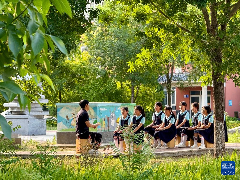 马兰花开遍太行山 马兰花开遍太行山