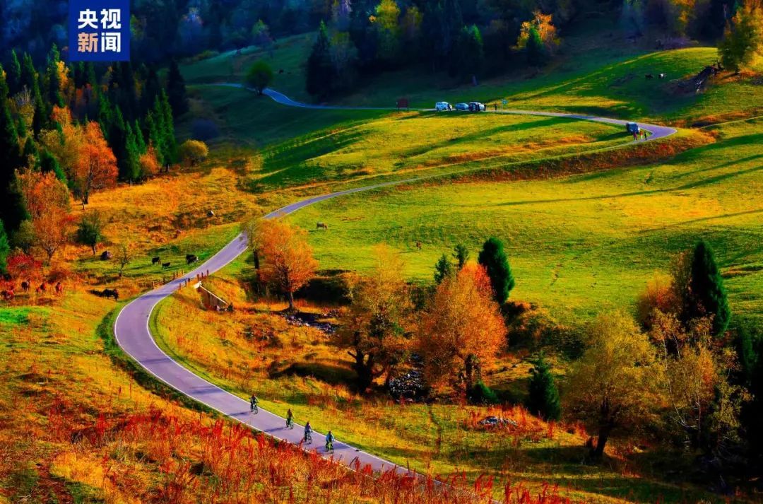 贵州这条路,全国“十大最美”! 贵州这条路,全国“十大最美”!