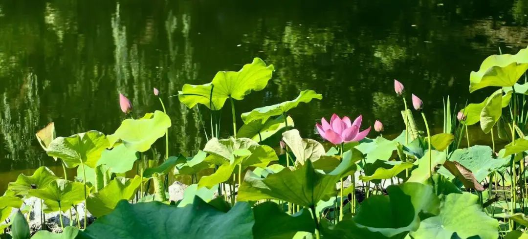 大到暴雨！8级大风！杭州人挺住，将进入最强时段！这波太猛