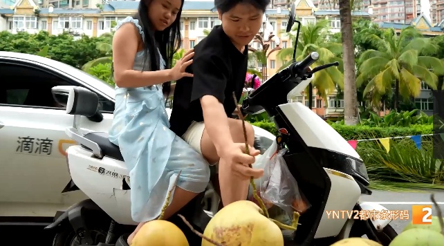 羡慕我都说累了!云南绿化带水果又开始免费送市民 羡慕我都说累了!云南绿化带水果又开始免费送市民