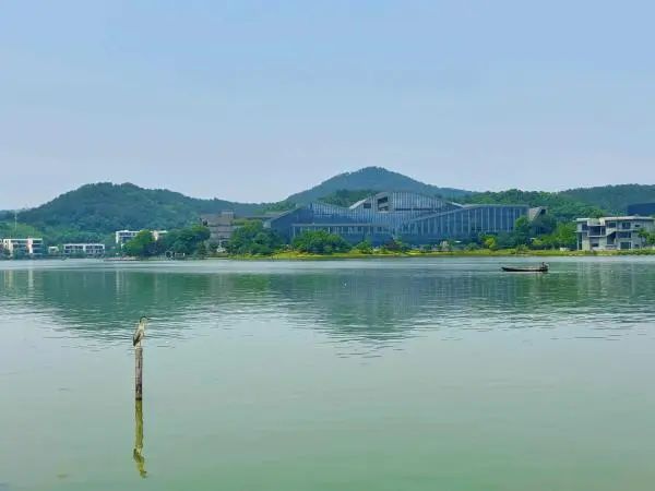 宁波端午假期“雨水包场”,最强降水时段出现在这一天 宁波端午假期“雨水包场”,最强降水时段出现在这一天