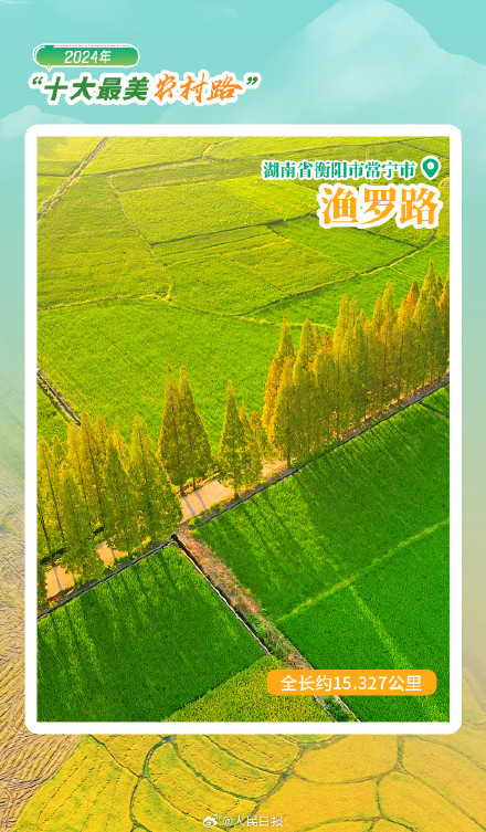 交通部公布2024十大最美农村路 交通部公布2024十大最美农村路