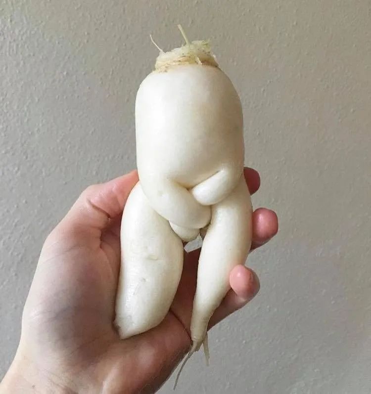 盒马卖的“丑蔬菜”,会比普通蔬菜好吃吗? 盒马卖的“丑蔬菜”,会比普通蔬菜好吃吗?