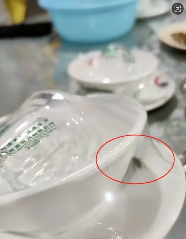 未拆封餐具里蟑螂乱爬!“烫碗”之争的背后…… 未拆封餐具里蟑螂乱爬!“烫碗”之争的背后……