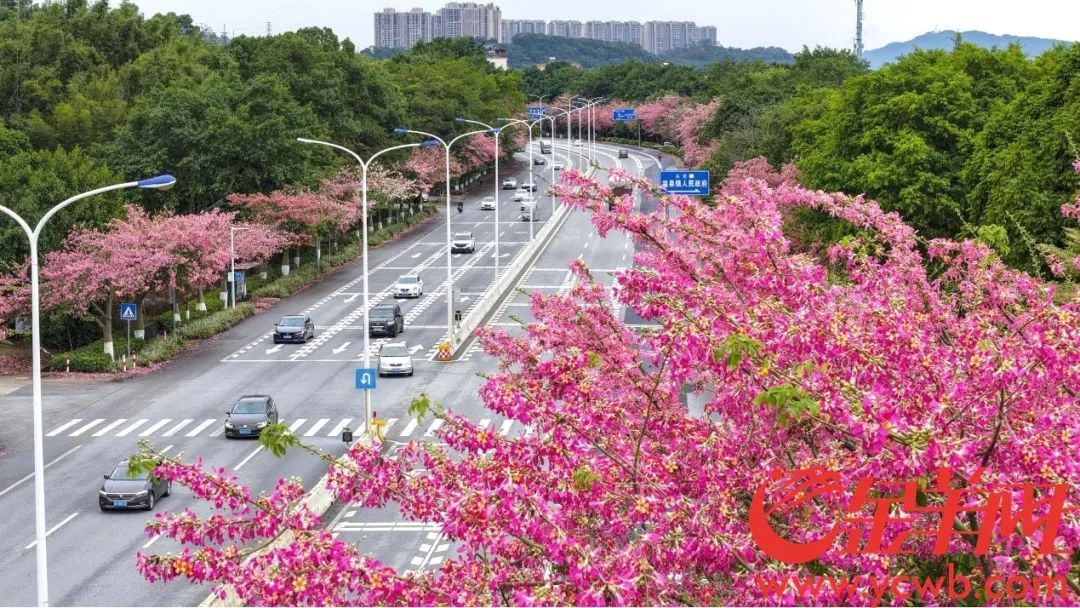 端午假期，广东易堵点段、繁忙服务区公布！将严查这些违法违规行为