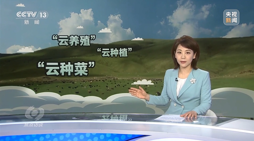 媒体聚焦丨“云养殖”里藏骗局 媒体聚焦丨“云养殖”里藏骗局