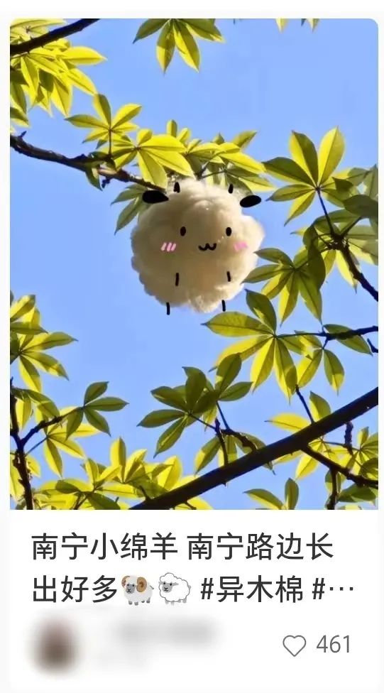 “南方特产”突然爆火,全国网友求邮寄……南宁网友:我有! “南方特产”突然爆火,全国网友求邮寄……南宁网友:我有!