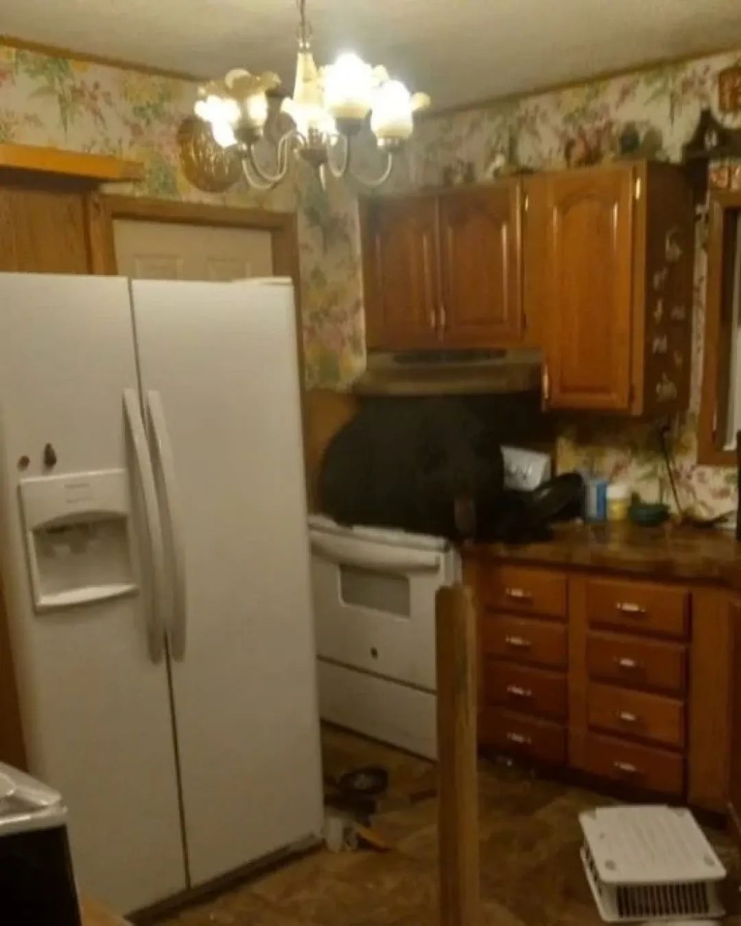 美国一黑熊从天花板掉落坐在炉台发呆,官员:首次见这样乖巧的熊 美国一黑熊从天花板掉落坐在炉台发呆,官员:首次见这样乖巧的熊