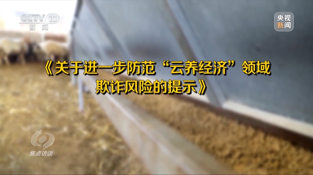 媒体聚焦丨“云养殖”里藏骗局 媒体聚焦丨“云养殖”里藏骗局