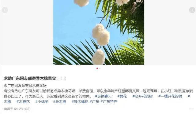 “广东特产”突然爆火,全国网友求邮寄 “广东特产”突然爆火,全国网友求邮寄