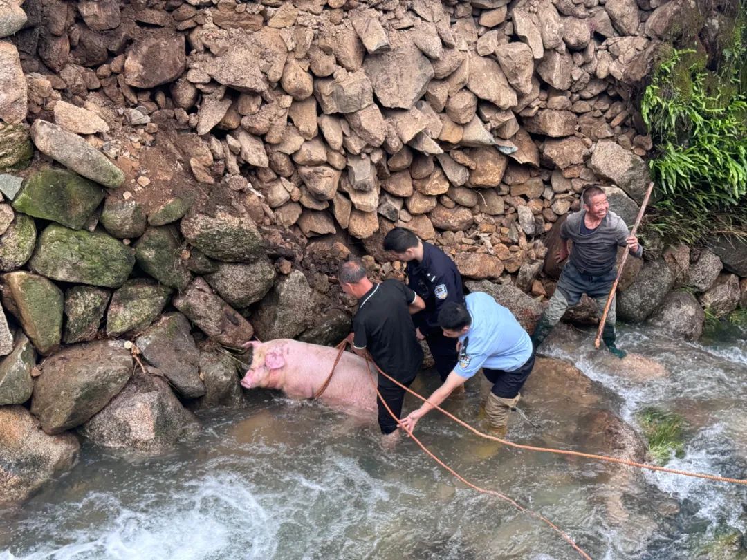 “二师兄”成功上岸了!