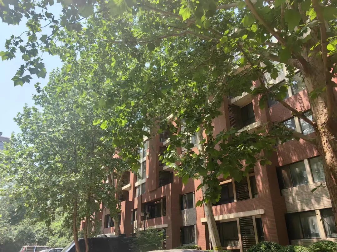 北京这小区居民洗澡竟成难题!咋回事? 北京这小区居民洗澡竟成难题!咋回事?