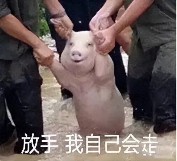 “二师兄”成功上岸了!