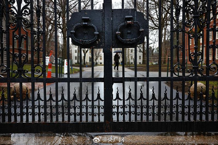 美法官叫停哈佛禁令 美法官叫停哈佛禁令