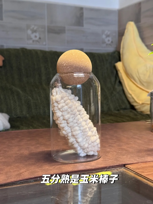 “广东特产”突然爆火,全国网友求邮寄 “广东特产”突然爆火,全国网友求邮寄