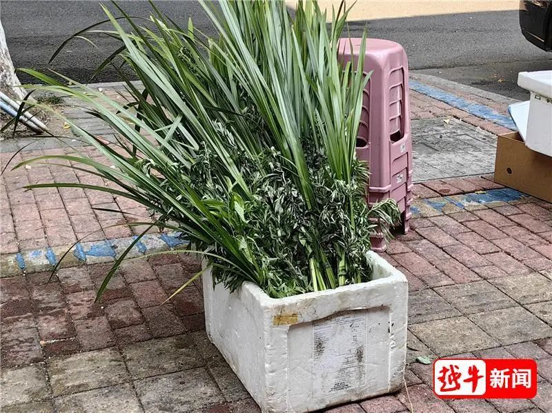 人手一把!绍兴新晋“顶流”,你买了吗? 人手一把!绍兴新晋“顶流”,你买了吗?