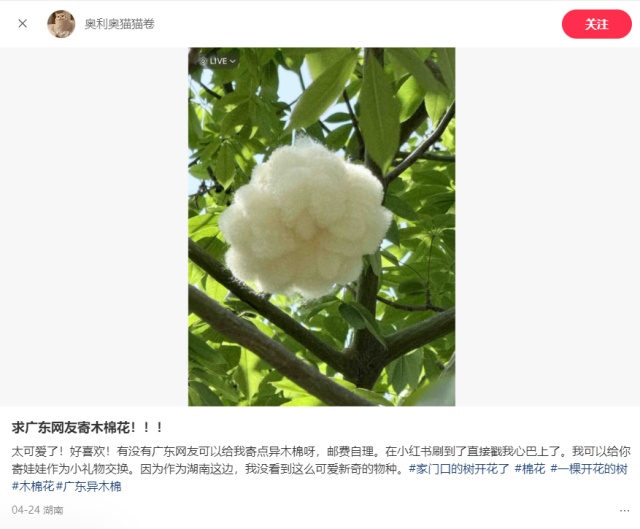 “广东特产”突然爆火,全国网友求邮寄 “广东特产”突然爆火,全国网友求邮寄