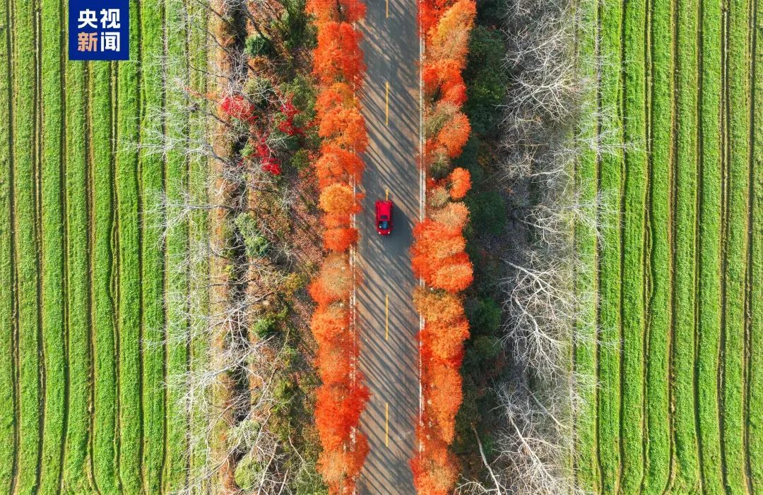 贵州这条路,全国“十大最美”! 贵州这条路,全国“十大最美”!