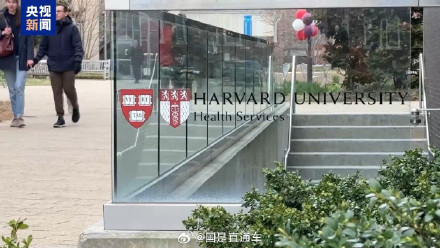 哈佛在校生称禁招令影响学业 哈佛在校生称禁招令影响学业