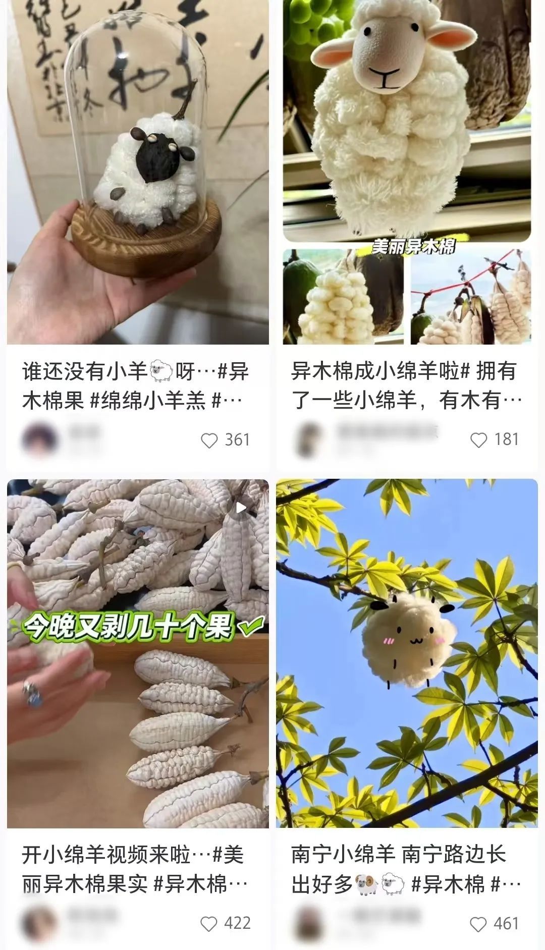 “南方特产”突然爆火,全国网友求邮寄……南宁网友:我有! “南方特产”突然爆火,全国网友求邮寄……南宁网友:我有!