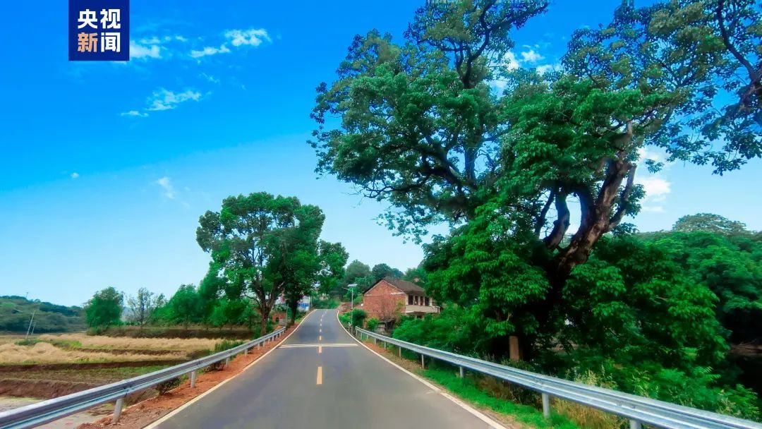 贵州这条路,全国“十大最美”! 贵州这条路,全国“十大最美”!