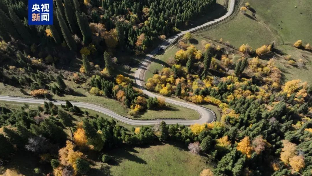 贵州这条路,全国“十大最美”! 贵州这条路,全国“十大最美”!