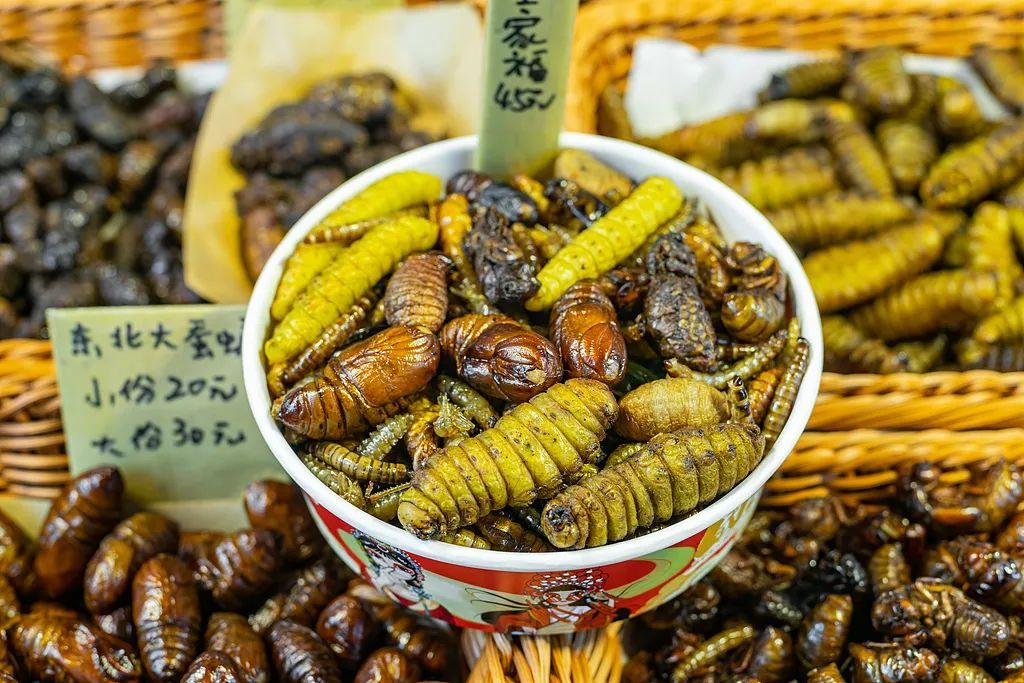 瞳孔地震!女子捉了30只白蚁当菜吃,剧烈腹痛紧急送医… 瞳孔地震!女子捉了30只白蚁当菜吃,剧烈腹痛紧急送医…